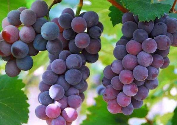 在阜阳,有这样一个地方